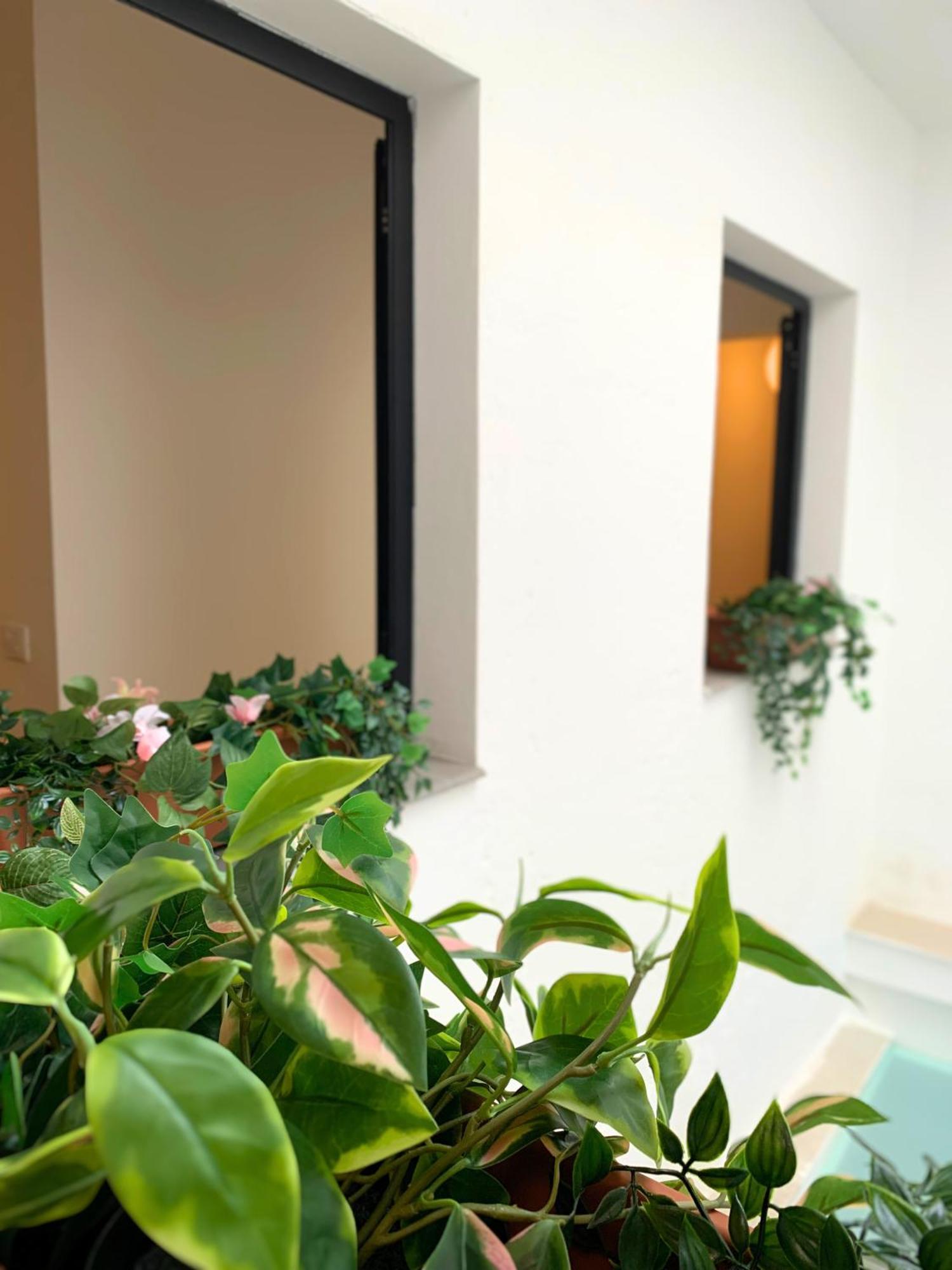 Nordic! 1 Bedroom Apartment Puerto de la Cruz  Exterior foto